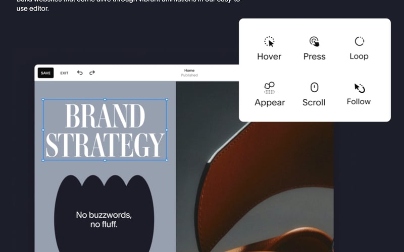 Squarespace screenshot 2