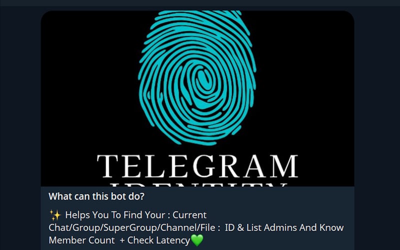 Telegram Identity Bot screenshot 1