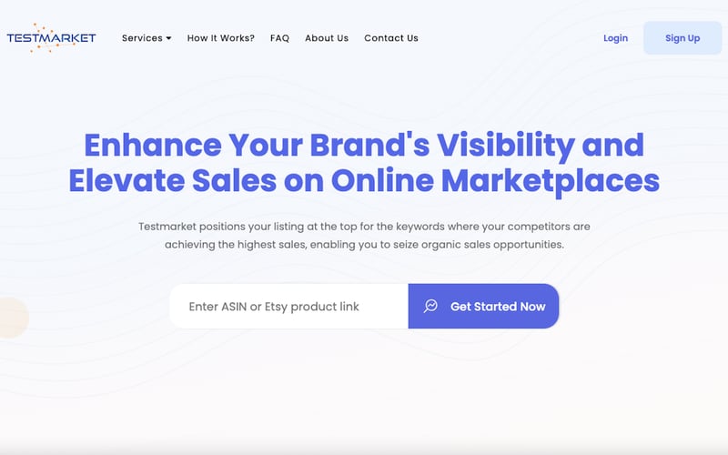 Testmarket Analytics INC screenshot 2