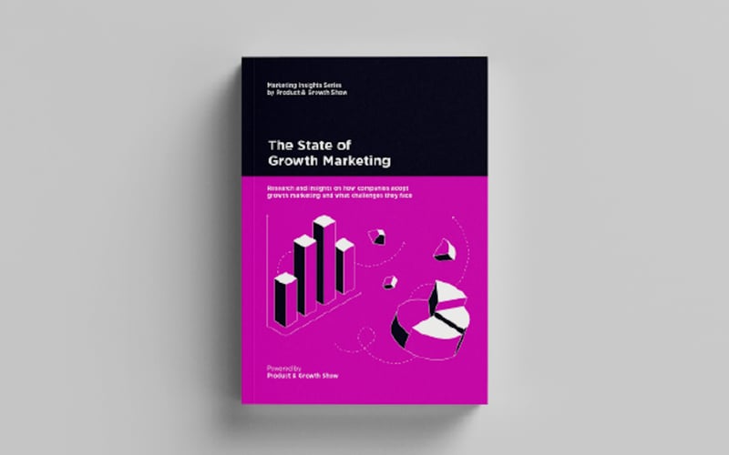 The 2019 State of Marketing screenshot 1