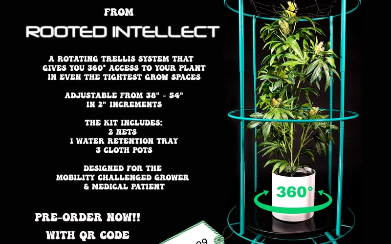 The Bloom Carousel screenshot 1