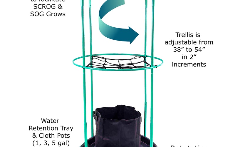 The Bloom Carousel screenshot 2