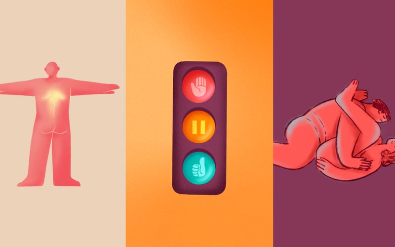 The Modern Guide to Sex screenshot 2