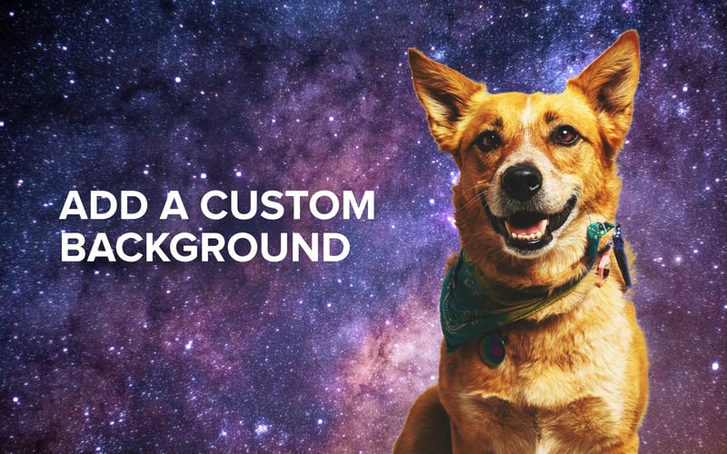 Trace by Sticker Mule screenshot 3