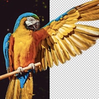 Transparent Background Maker