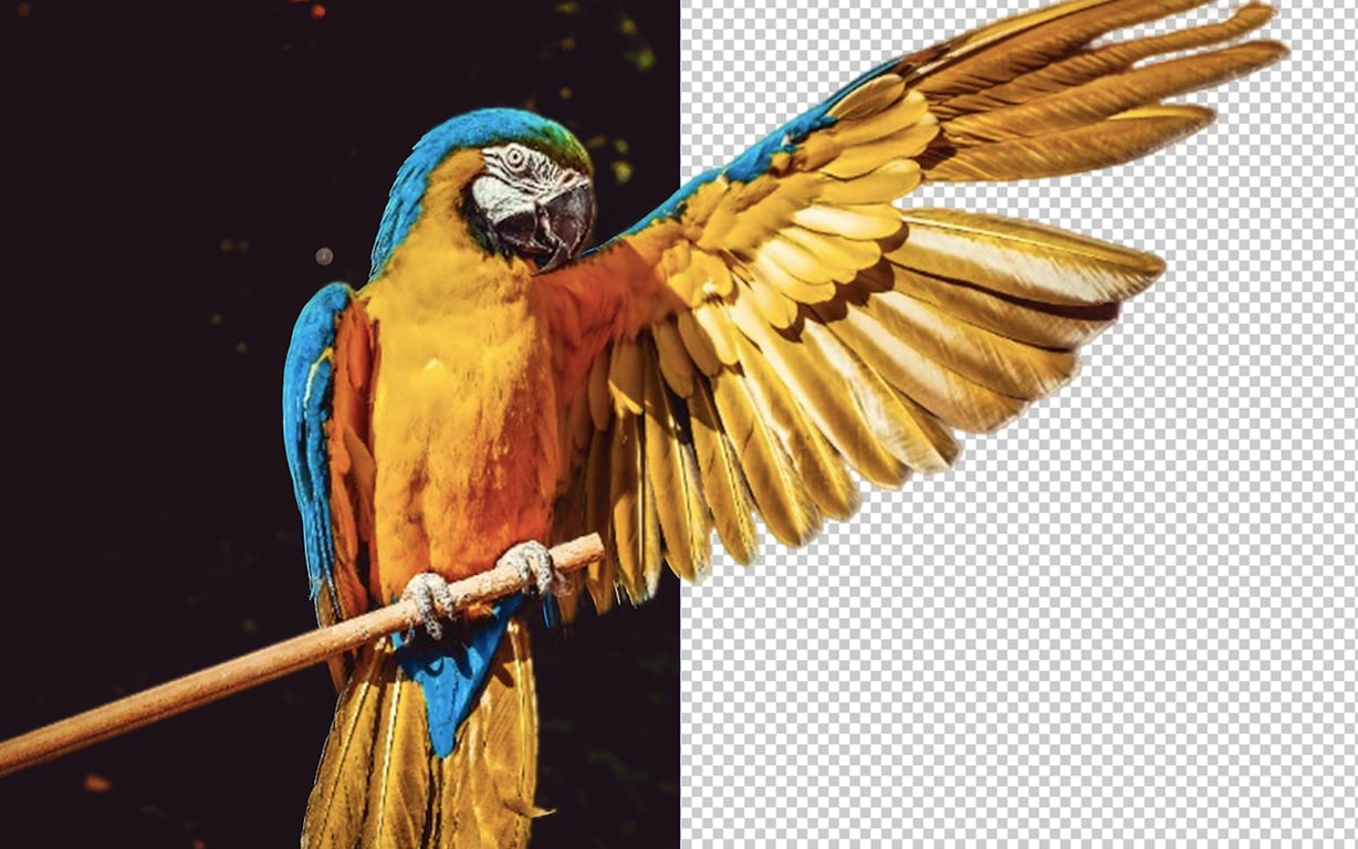 Transparent Background Maker preview