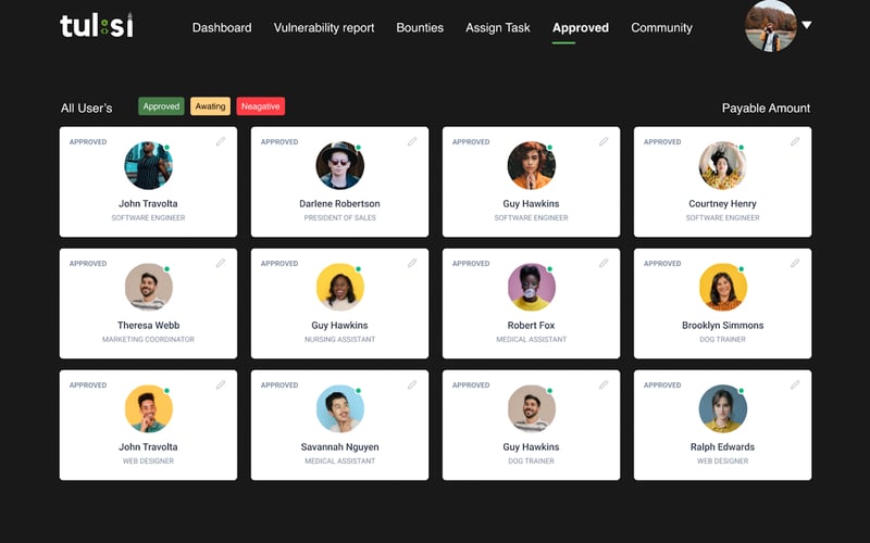 Tulsi Pentest screenshot 3