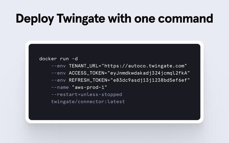 Twingate screenshot 2