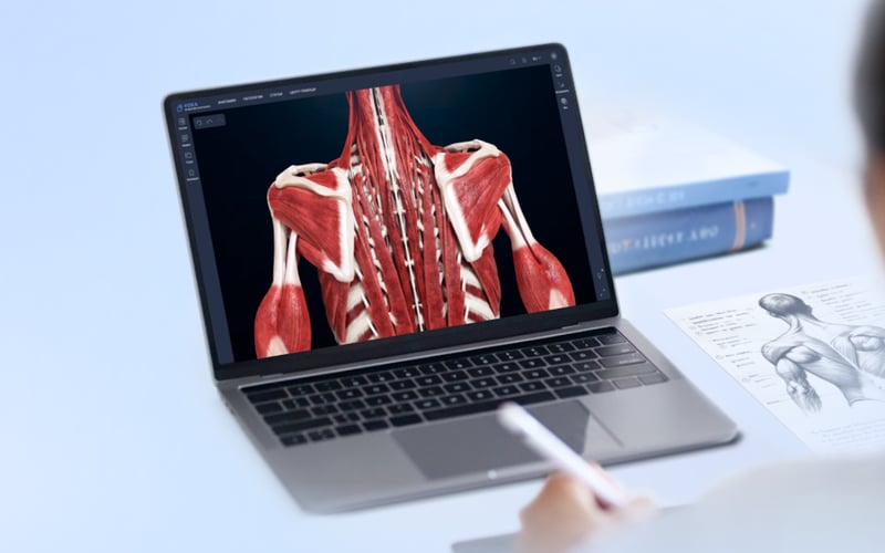 VOKA 3D Anatomy & Pathology screenshot 1