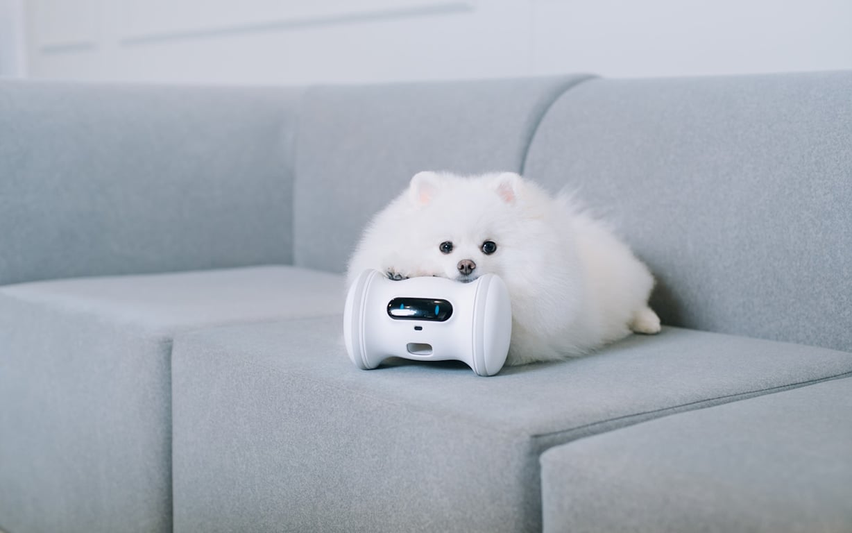 Varram Pet Robot preview