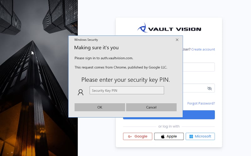 Vault Vision screenshot 3