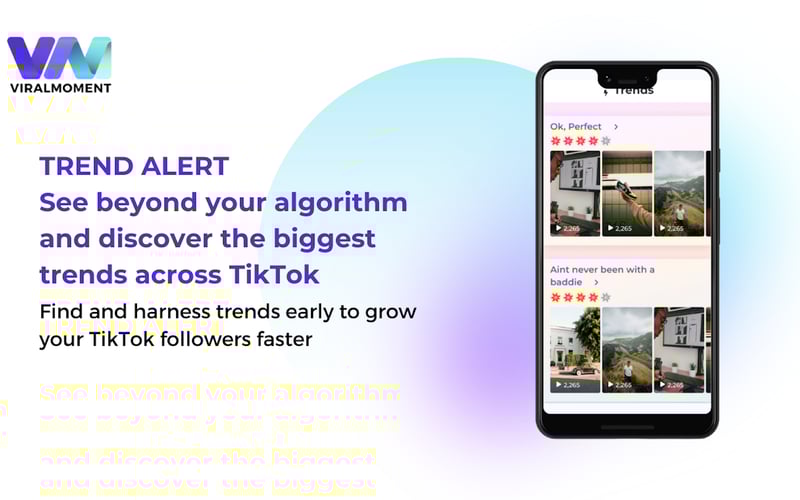 ViralMoment screenshot 1