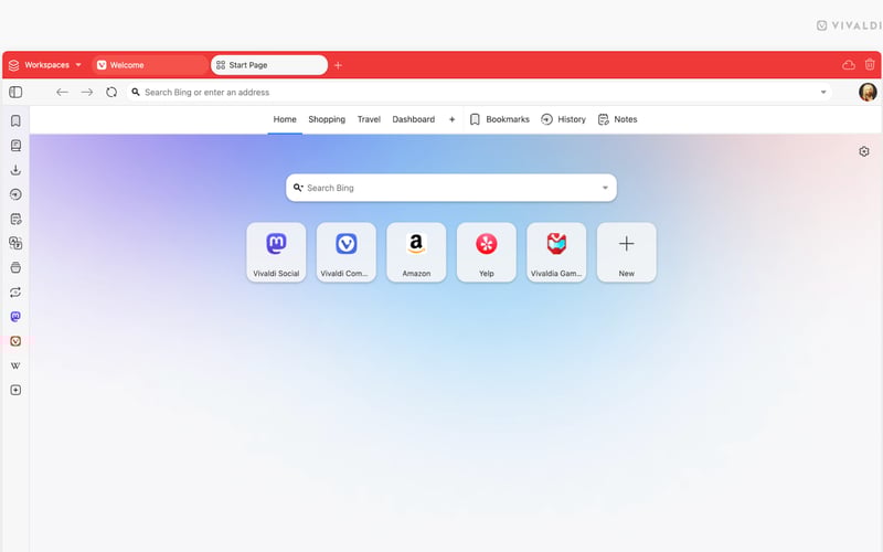 Vivaldi screenshot 1