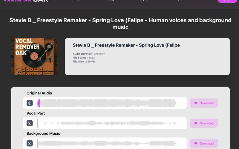 Vocal Remover Online screenshot 2