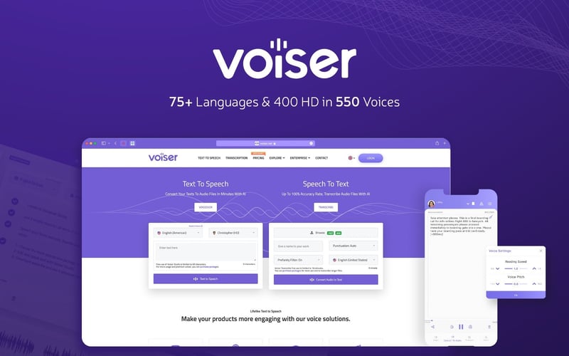 Voiser.net screenshot 1