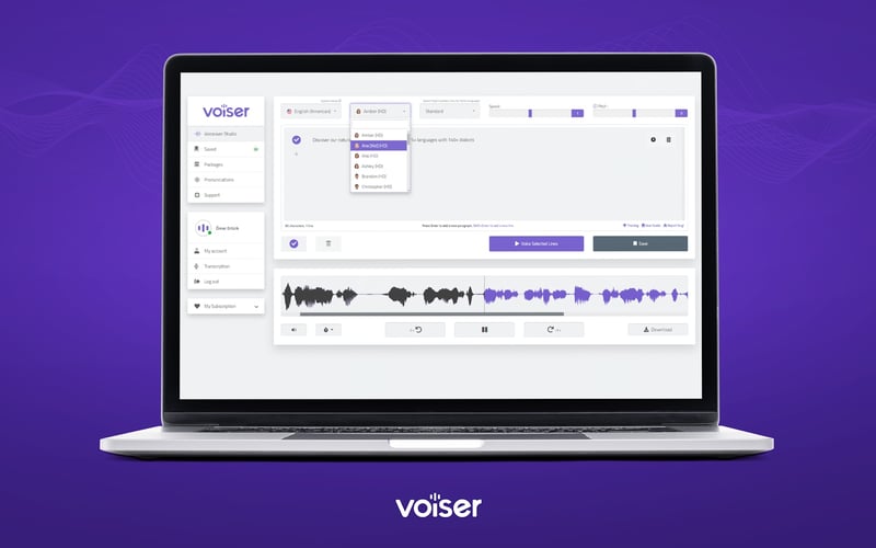 Voiser.net screenshot 2