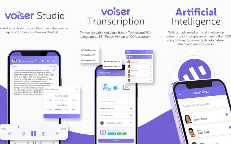 Voiser.net screenshot 3