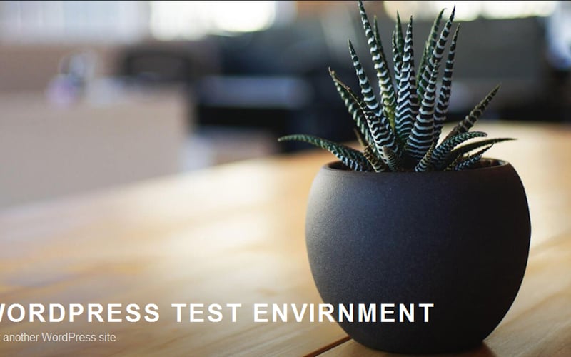 WP Curtain Raiser screenshot 2