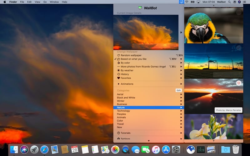 WallBot screenshot 1