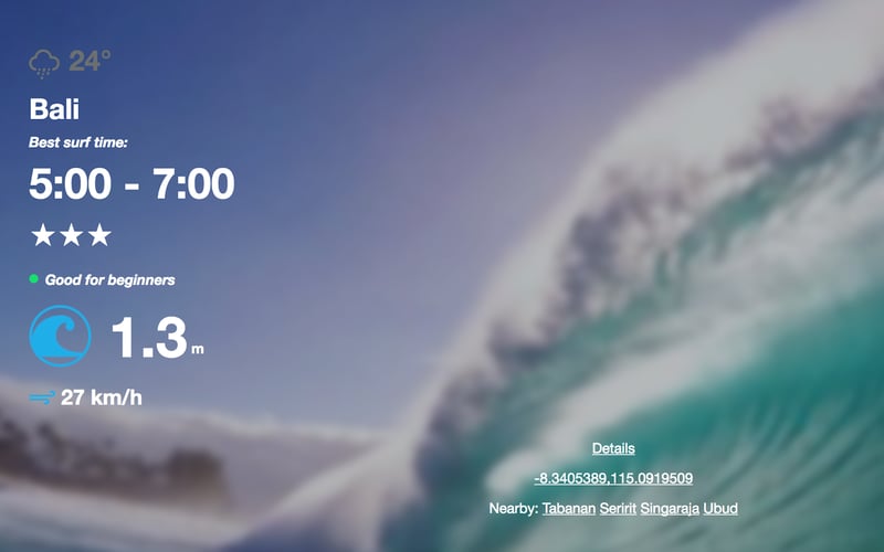 When to Surf screenshot 2