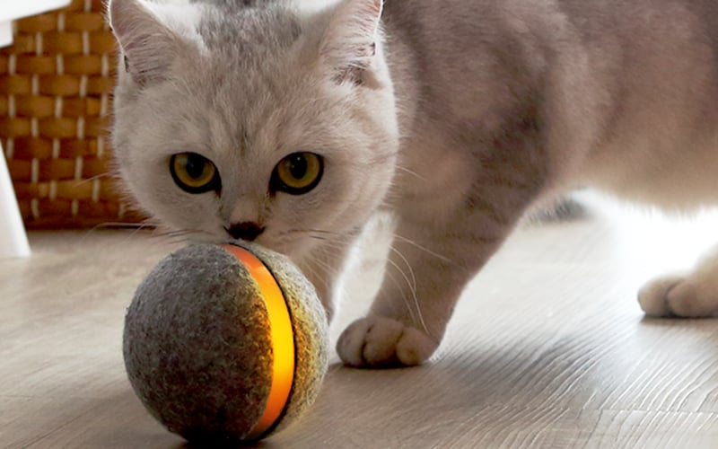 Wicked Ball screenshot 1