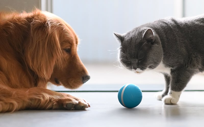 Wicked Ball screenshot 2