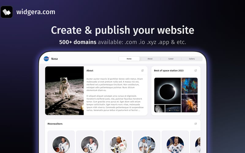 Widgera screenshot 3