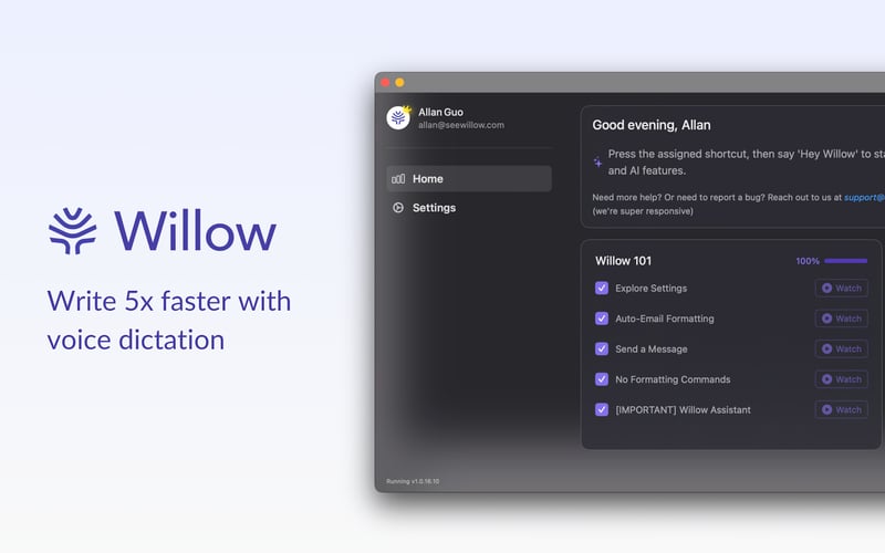 Willow Voice screenshot 1