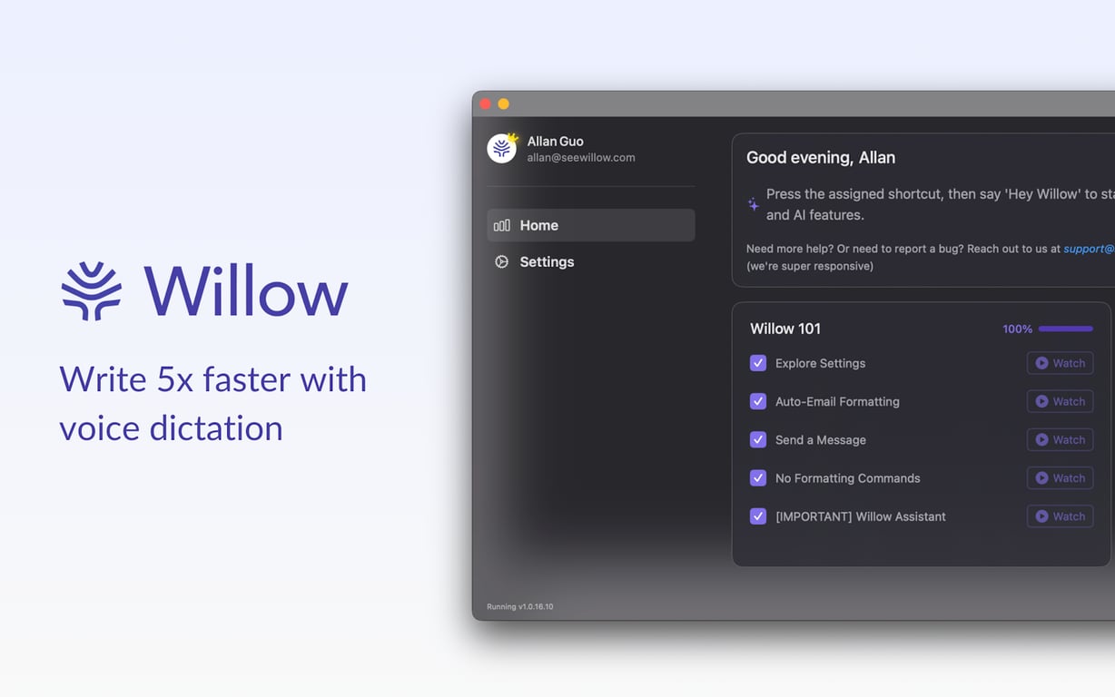 Willow Voice preview