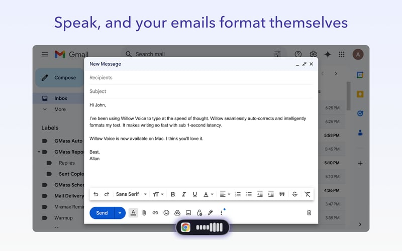 Willow Voice screenshot 2