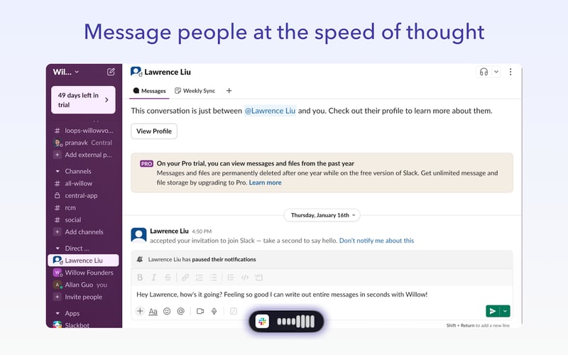 Willow Voice screenshot 3