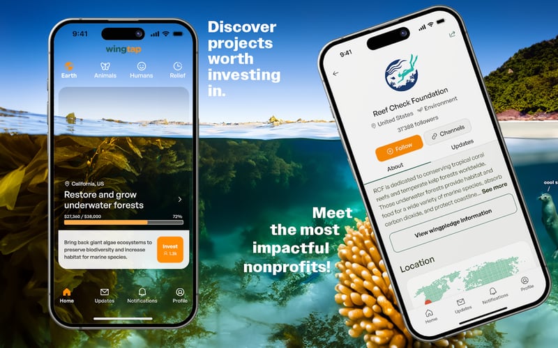Wingtap screenshot 1