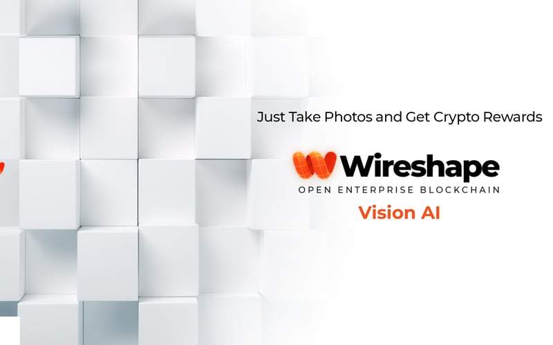 Wireshape screenshot 1