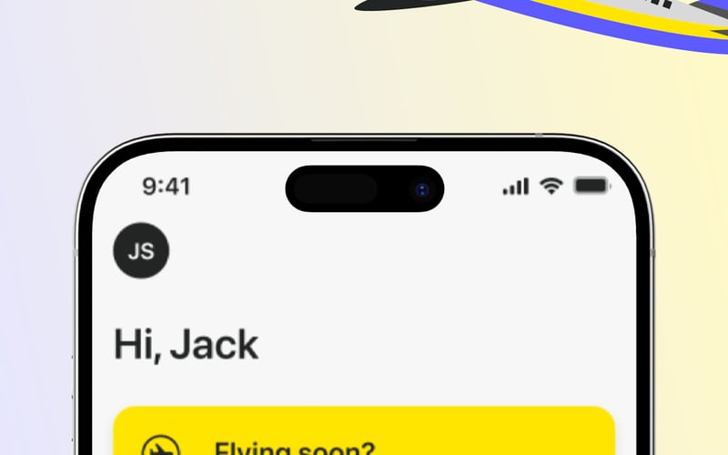 Your Accessible Flight screenshot 2