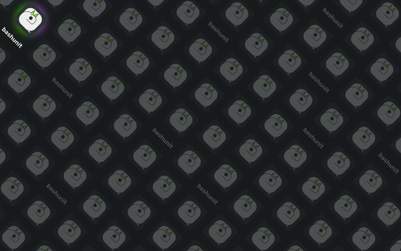 bashunit screenshot 2