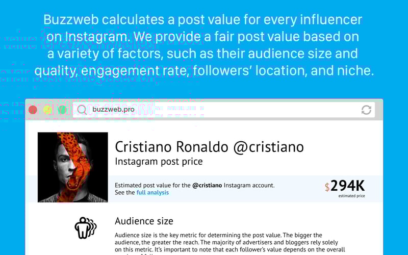 buzzweb screenshot 1