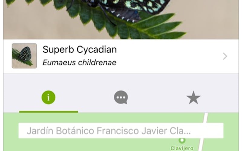 iNaturalist screenshot 1