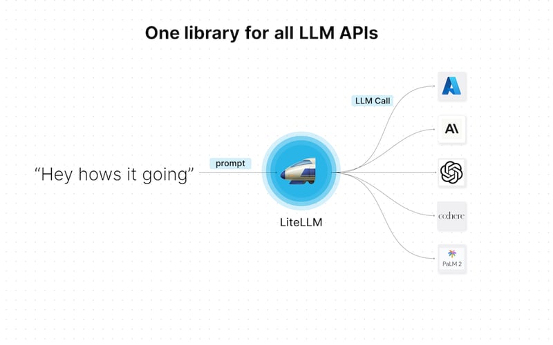 liteLLM screenshot 1