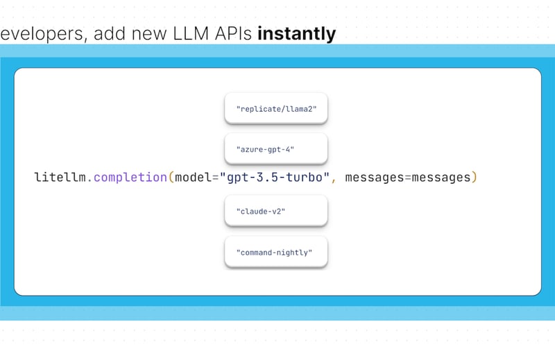 liteLLM screenshot 2