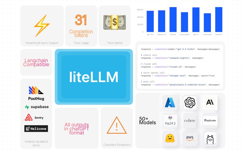 liteLLM screenshot 3