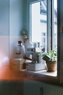 a plant, dried flowers, espresso machine, and a coffee grinder on a window sill in a greyish scene