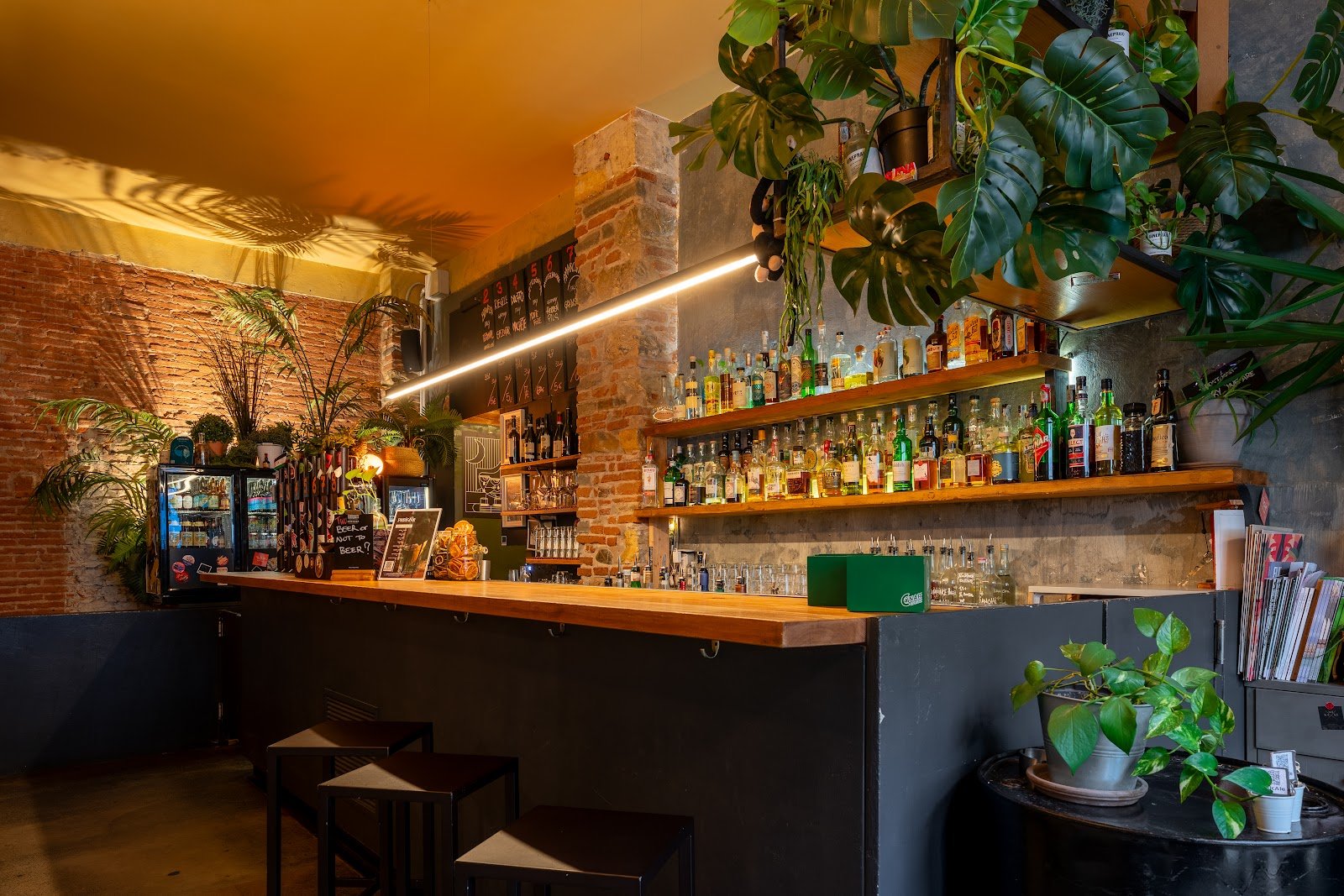 PanicAle — Cocktail bar in San Lorenzo, Florence