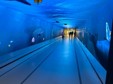 The Gallery Immersive Experience — Tourist attraction in Santa Maria Novella · Florence