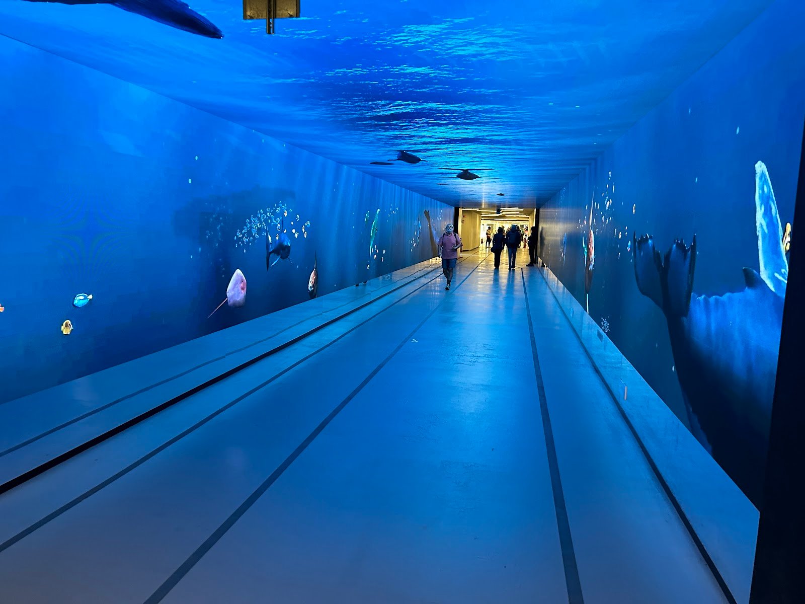 The Gallery Immersive Experience — Tourist attraction in Santa Maria Novella, Florence
