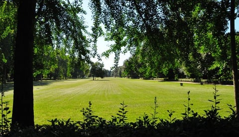Parco delle Cascine — Park in Santa Maria Novella · Florence