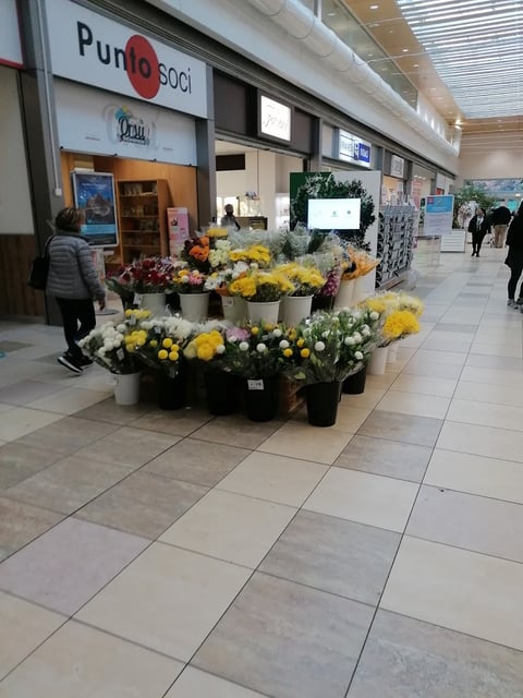 Centro Commerciale Carlo del Prete — Shopping mall in Outer Florence · Florence