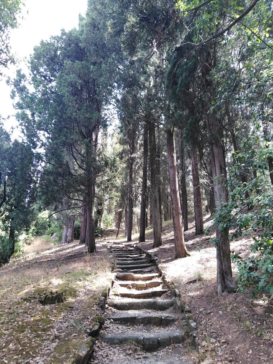 Parco della Rimembranza — Park in Oltrarno, Florence