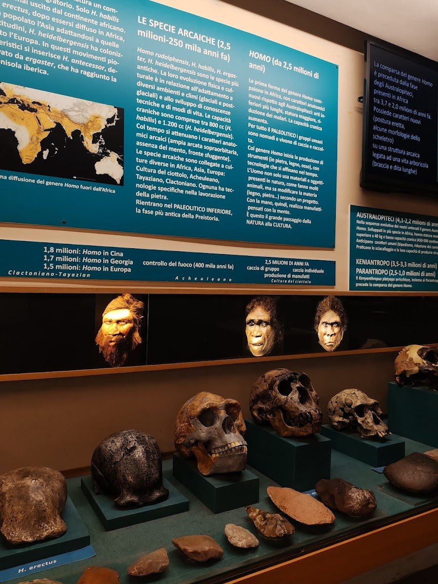 Florentine Museum and Institute of Prehistory — Museum in Santa Croce, Florence
