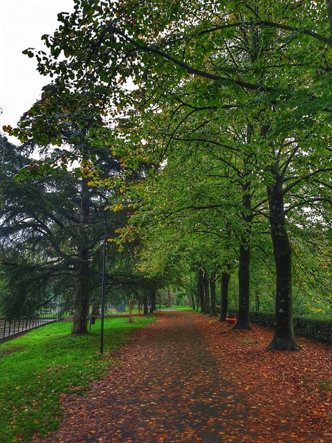 Parco del Galluzzo - I Giardini — City park in Outer Florence · Florence