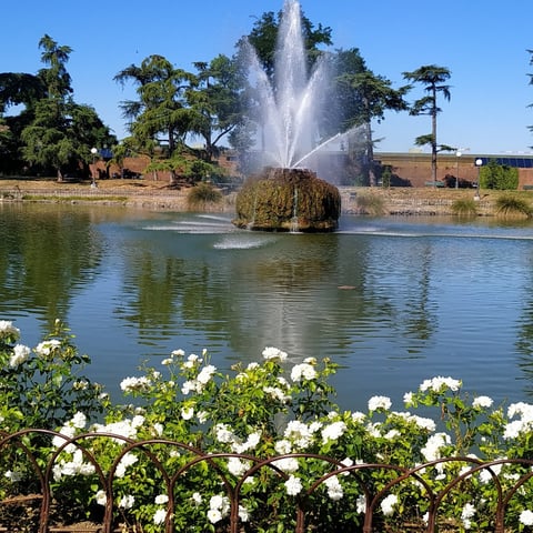 Fontana della Fortezza da Basso — Garden in San Lorenzo · Florence